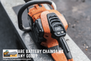 Are Battery Chainsaws Any Good