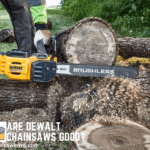 Are Dewalt Chainsaws Good