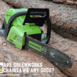Are Greenworks Chainsaws Any Good