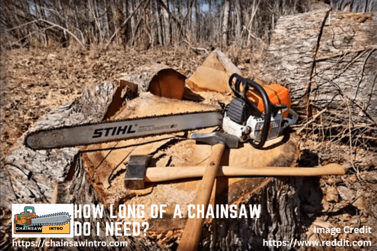 How Long Of A Chainsaw Do I Need