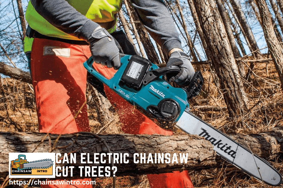 How to properly sharpen your chainsaw (instructions) – Einhell Blog