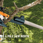 Is A Pole Saw Worth It