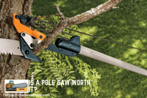 Is A Pole Saw Worth It