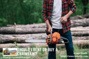 Should I Rent Or Buy A Chainsaw