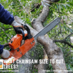 What Chainsaw Size to Cut Trees