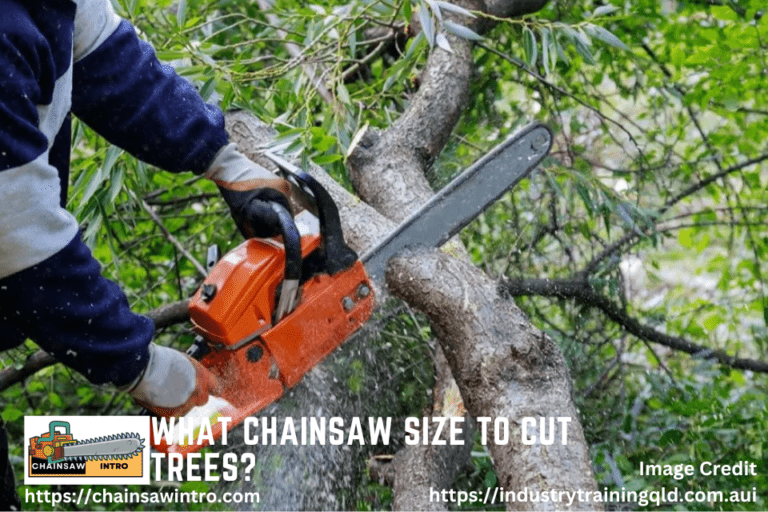 What Chainsaw Size to Cut Trees