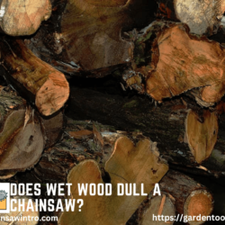 Does Wet Wood Dull A Chainsaw?