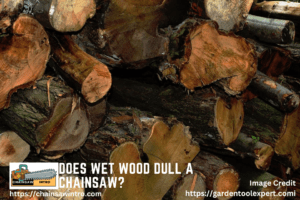 Does Wet Wood Dull A Chainsaw