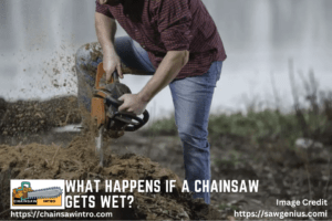 What Happens If a Chainsaw Gets Wet
